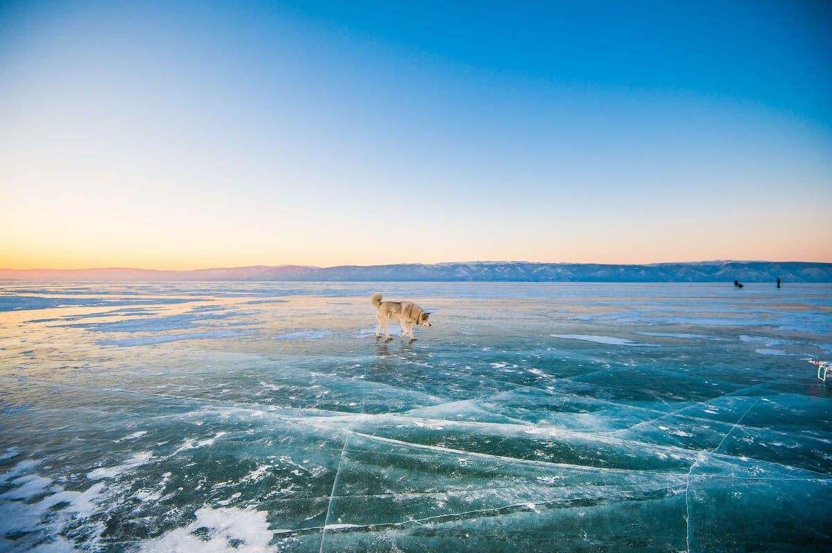 1562663522314686.jpg 1562663522314686.jpg