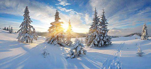 1583995627811243.jpg 1583995627811243.jpg