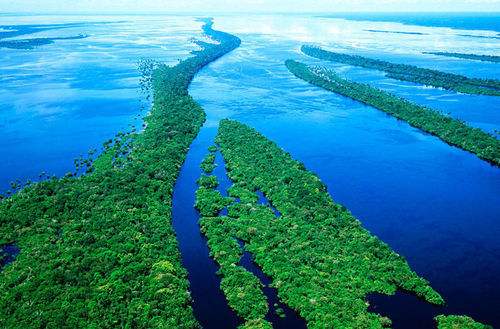 1583996009554629.jpg 1583996009554629.jpg