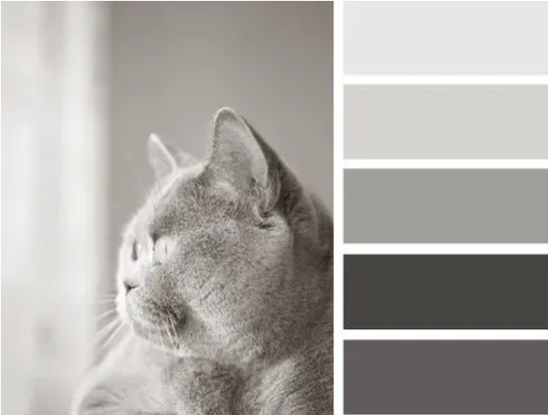 1631005809758579.png 1631005809758579.png