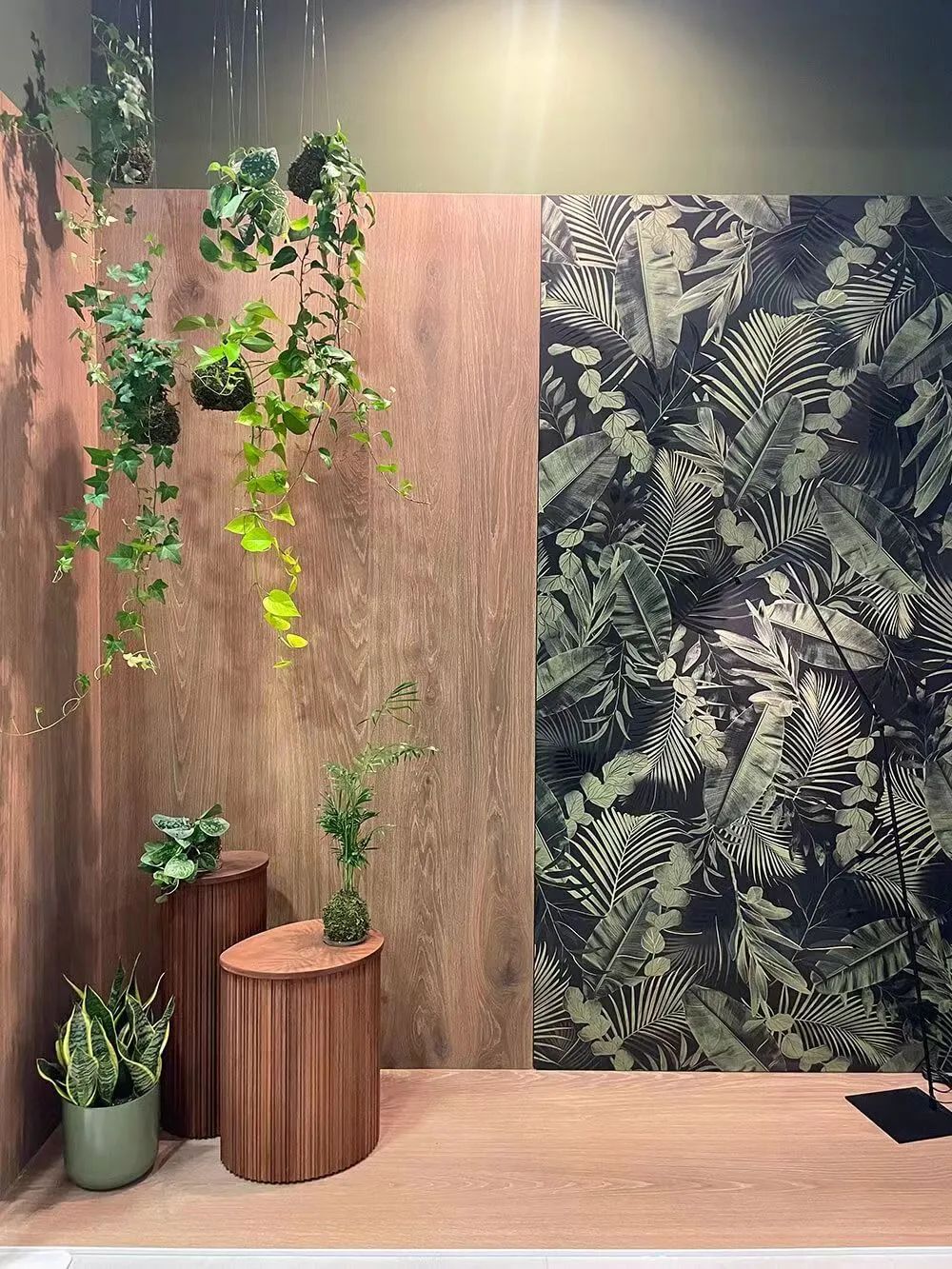 1665277832147885.jpg 產品3.jpg