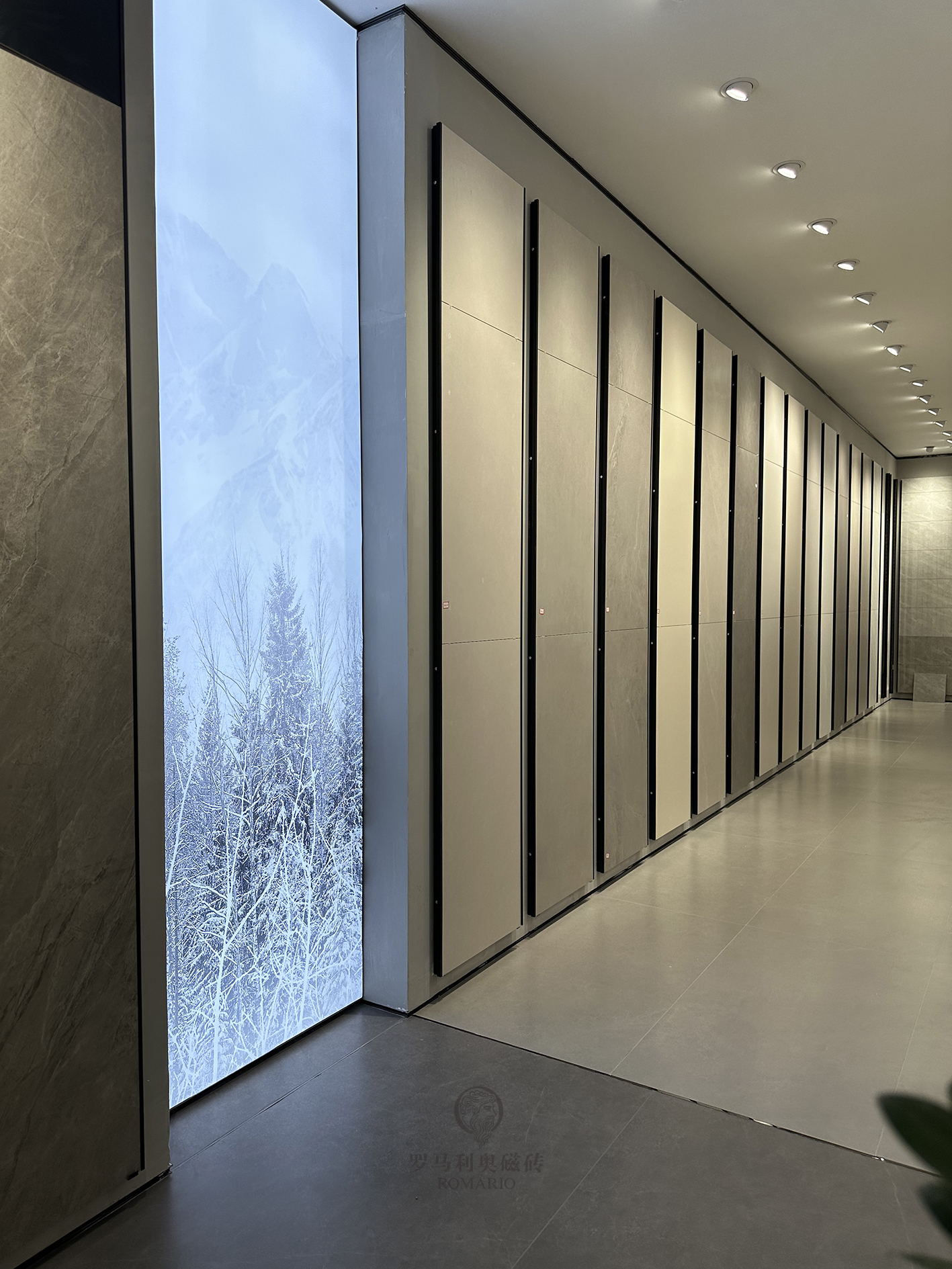 1695116198362735.jpg 1695116198362735.jpg