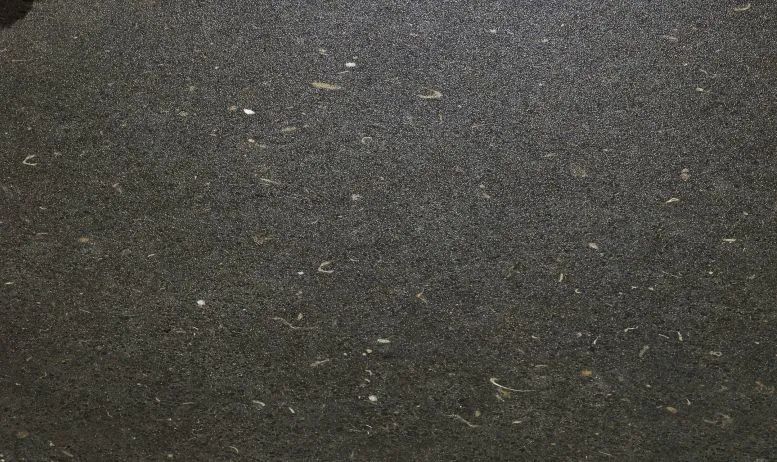 1696491355154089.jpg 8.jpg