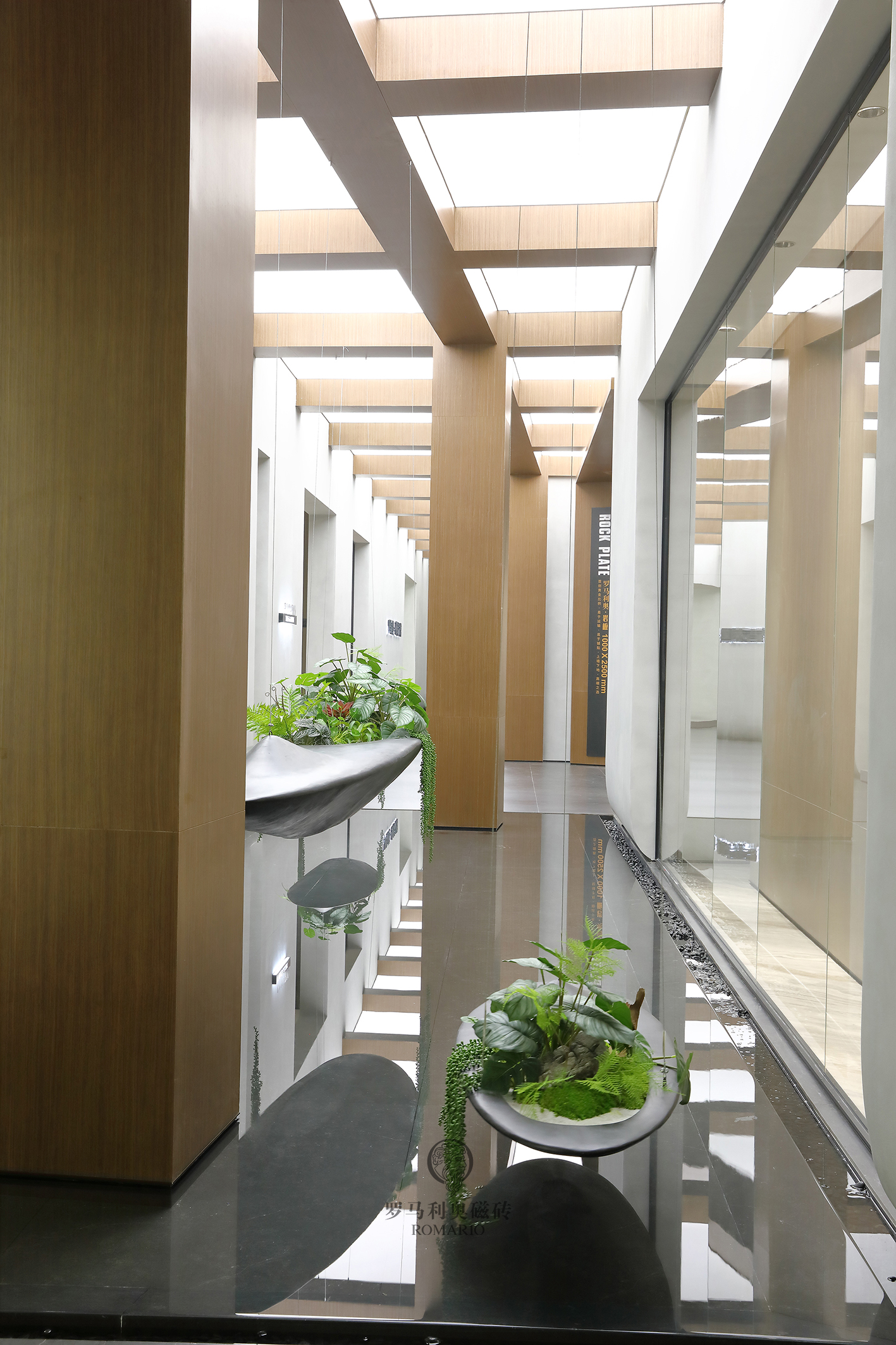 1698732112557394.jpg 1698732112557394.jpg