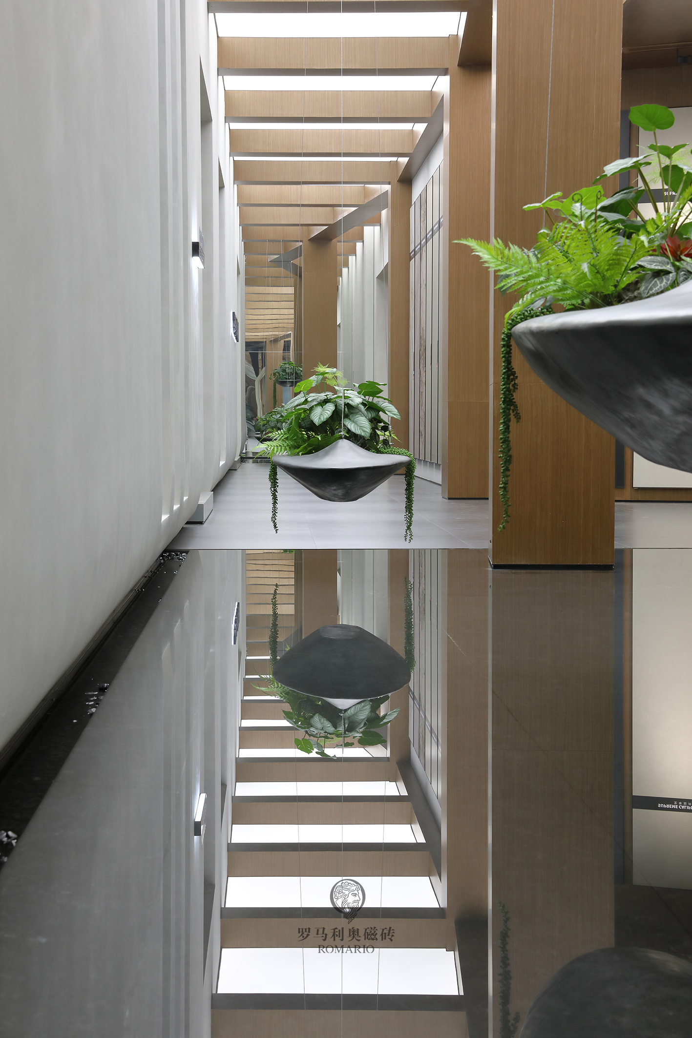 1698732120387031.jpg 1698732120387031.jpg