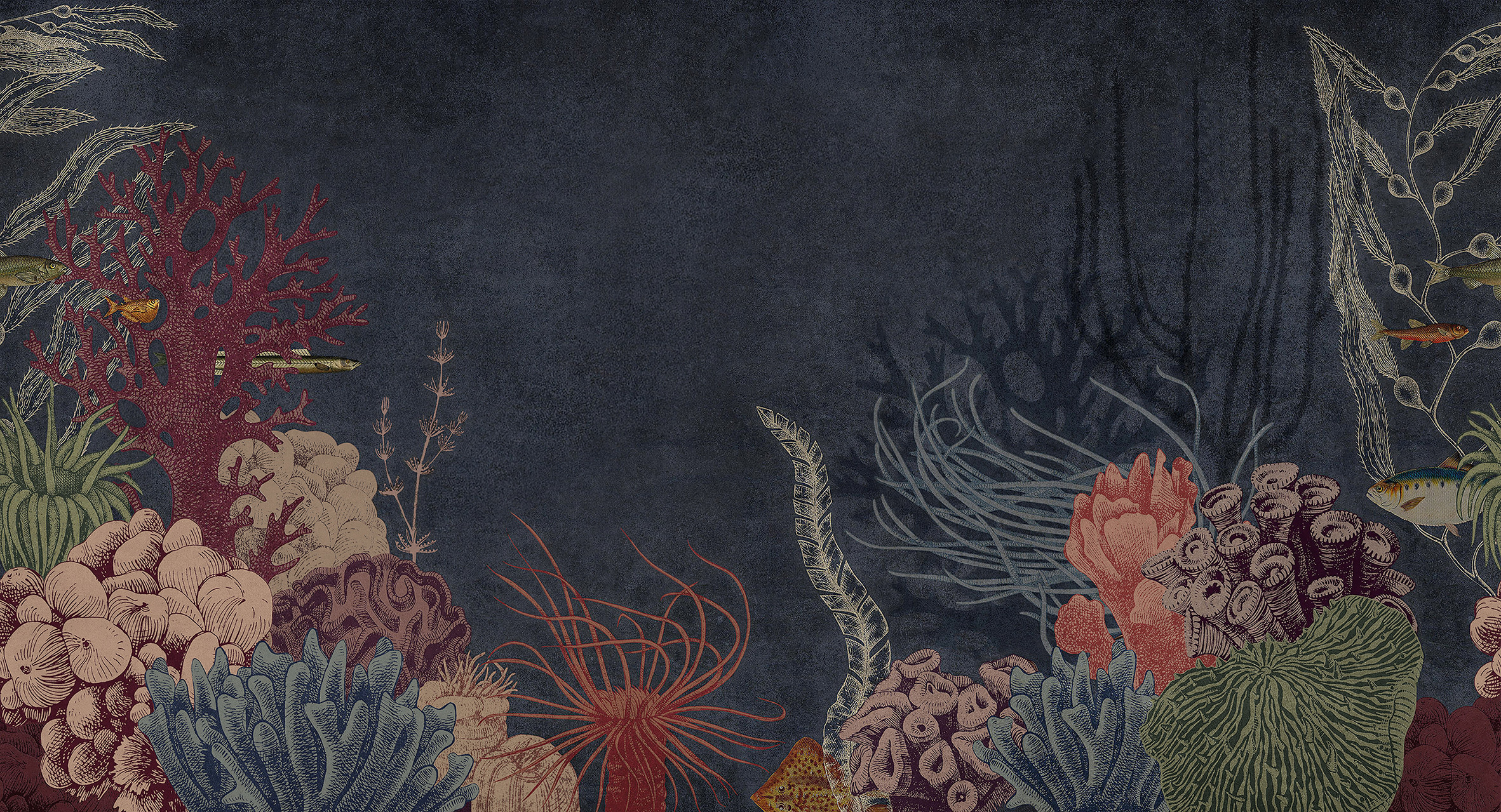 1698735197789973.jpg 1698735197789973.jpg