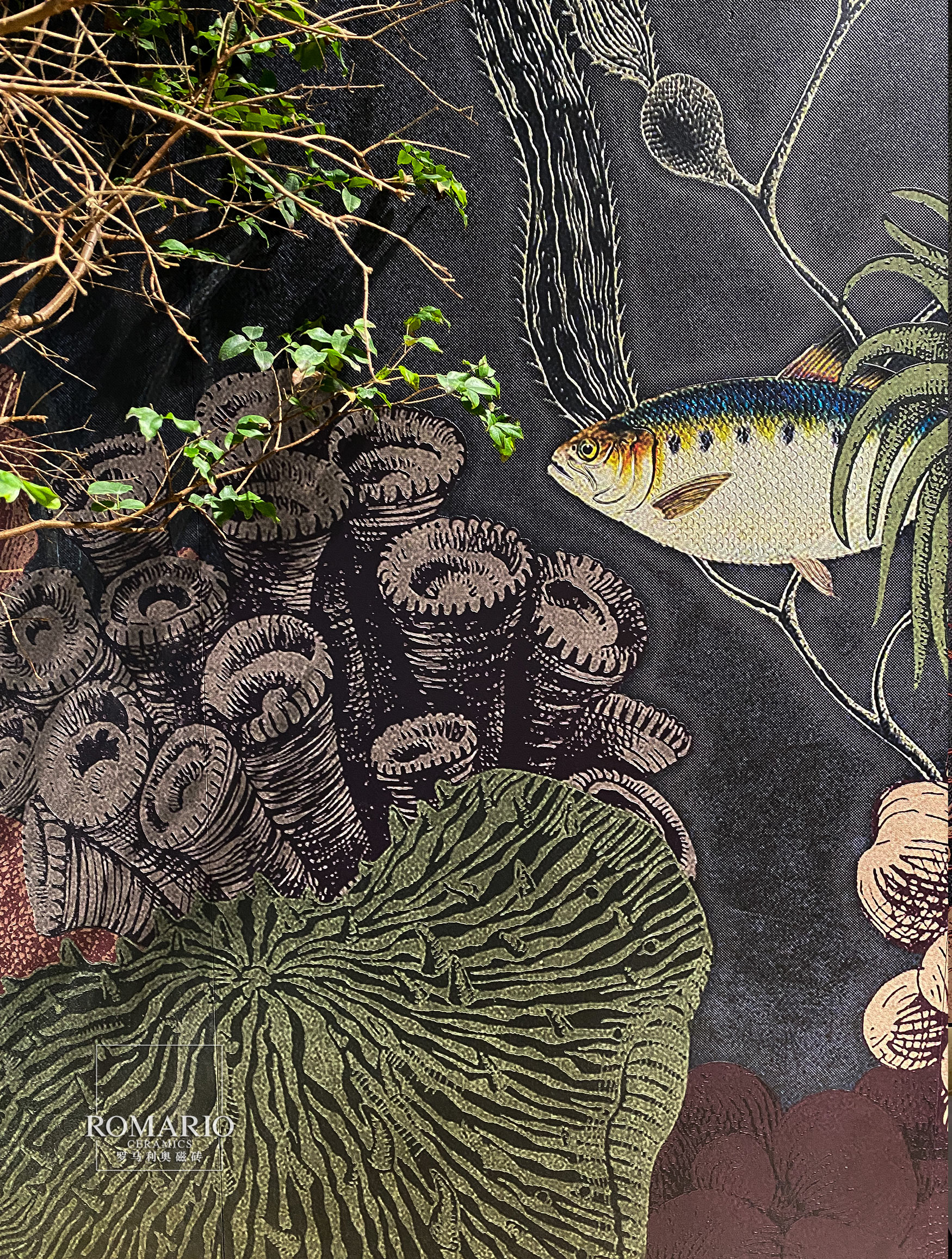 1698735292924053.jpg 1698735292924053.jpg