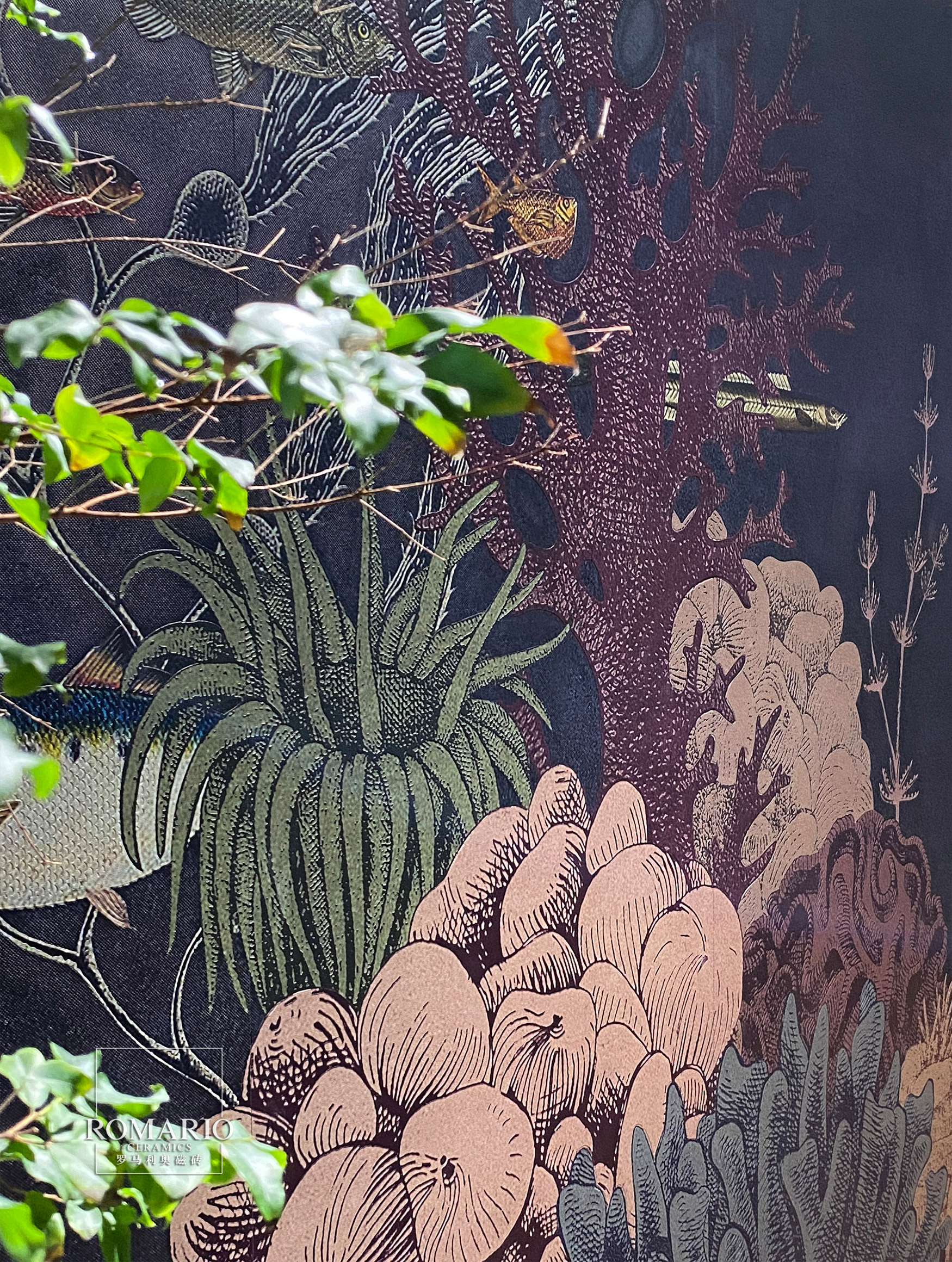 1698735328547665.jpg 1698735328547665.jpg