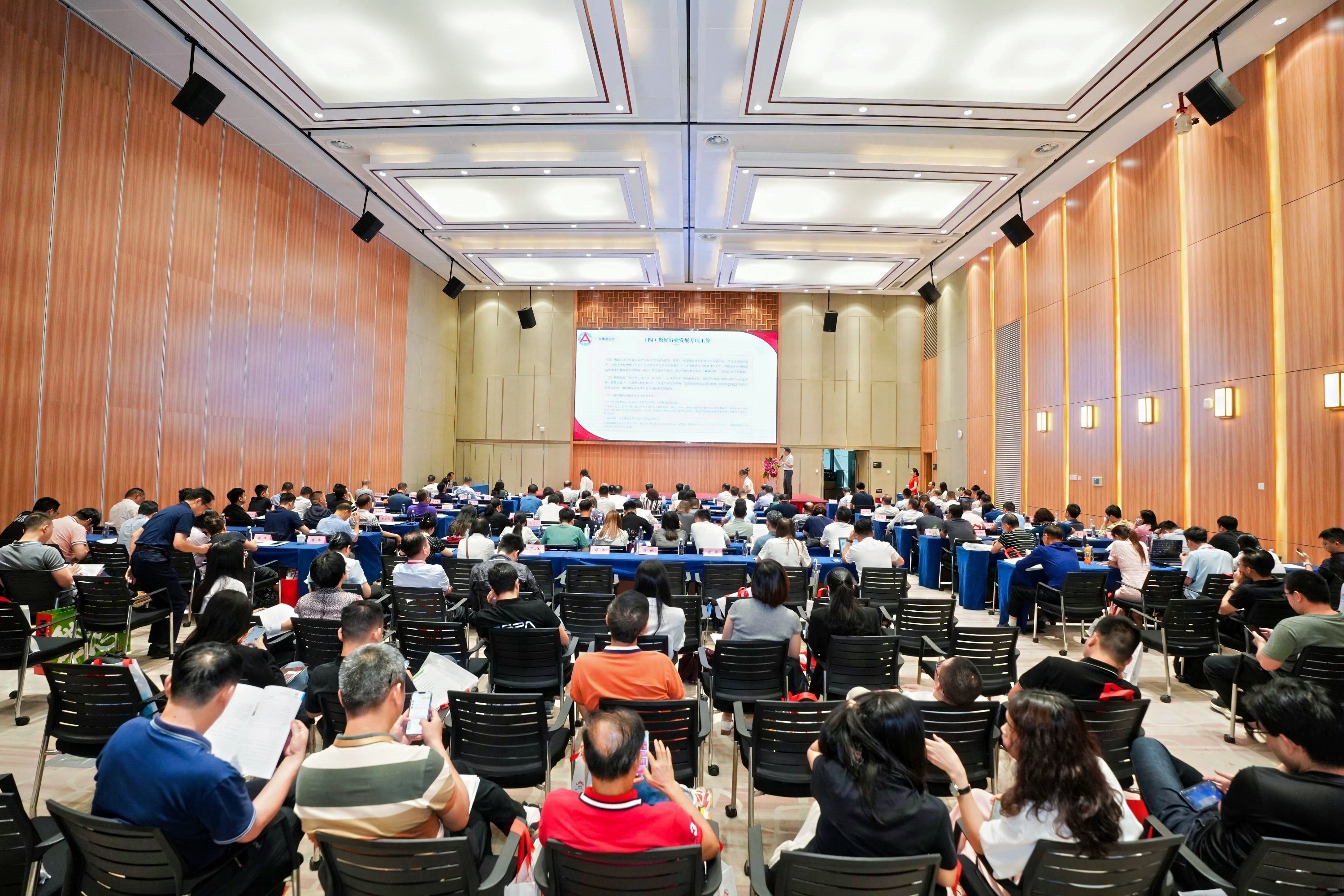 1713574548556874.jpg CXP09223-opq797521706.jpg