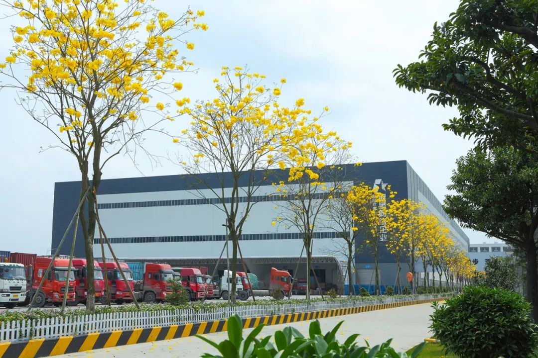 1720226321953342.jpg 4.jpg