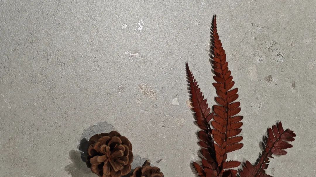 1729674632308815.jpg 3.jpg