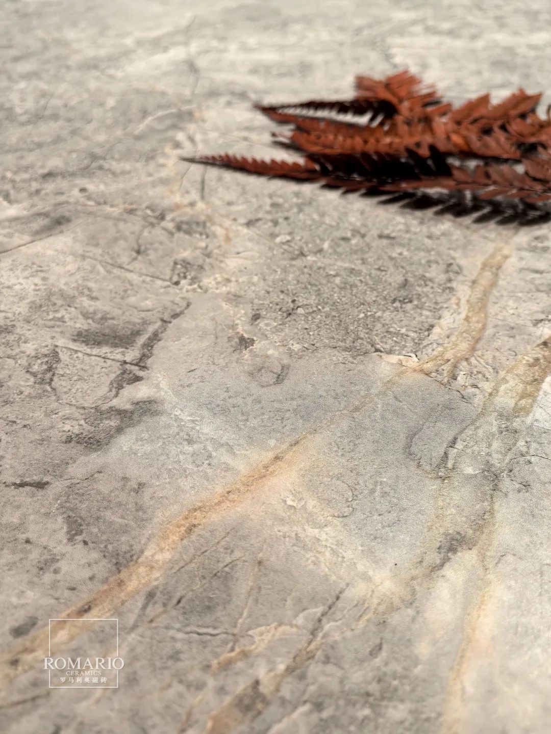 1729674750585713.jpg 6.jpg