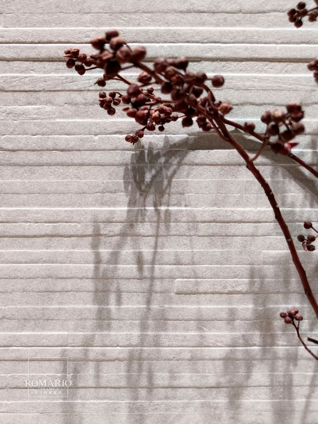 1729674760353982.jpg 7.jpg