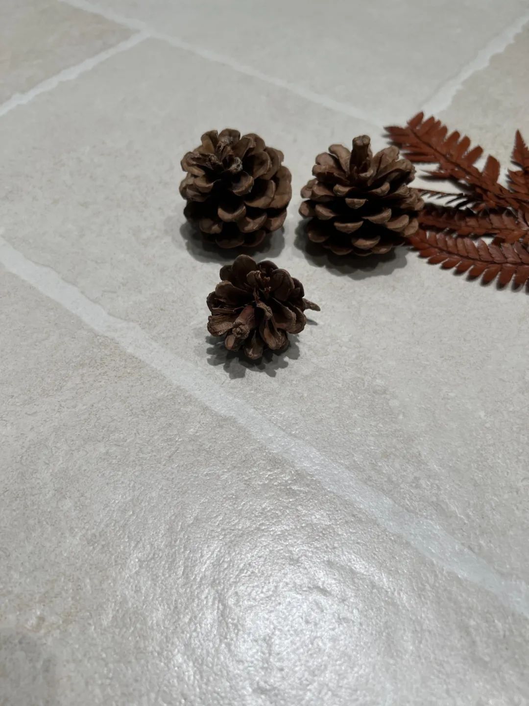 1729674768221737.jpg 9.jpg