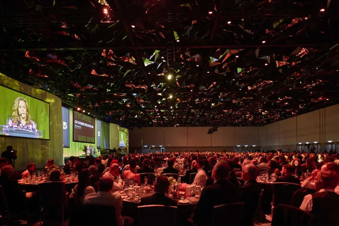 1730688471574254.jpg 4.jpg