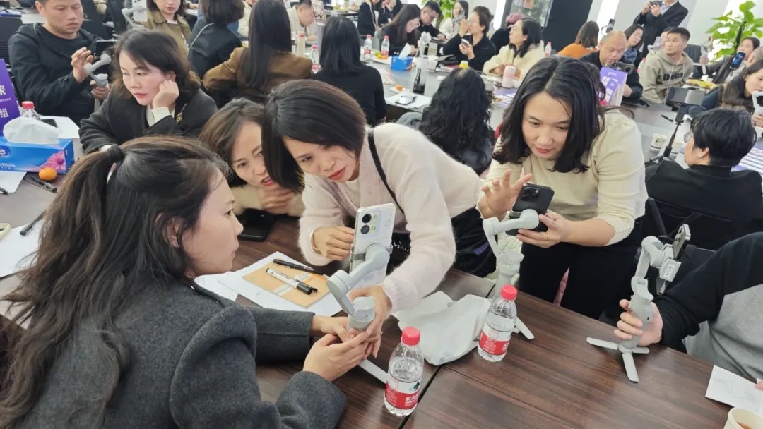 1735538195489541.jpg 10.jpg