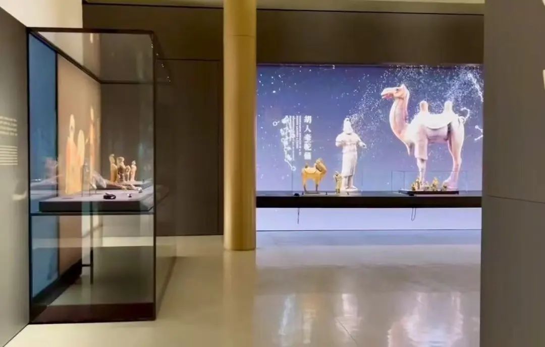 1745220270728862.jpg 6.jpg