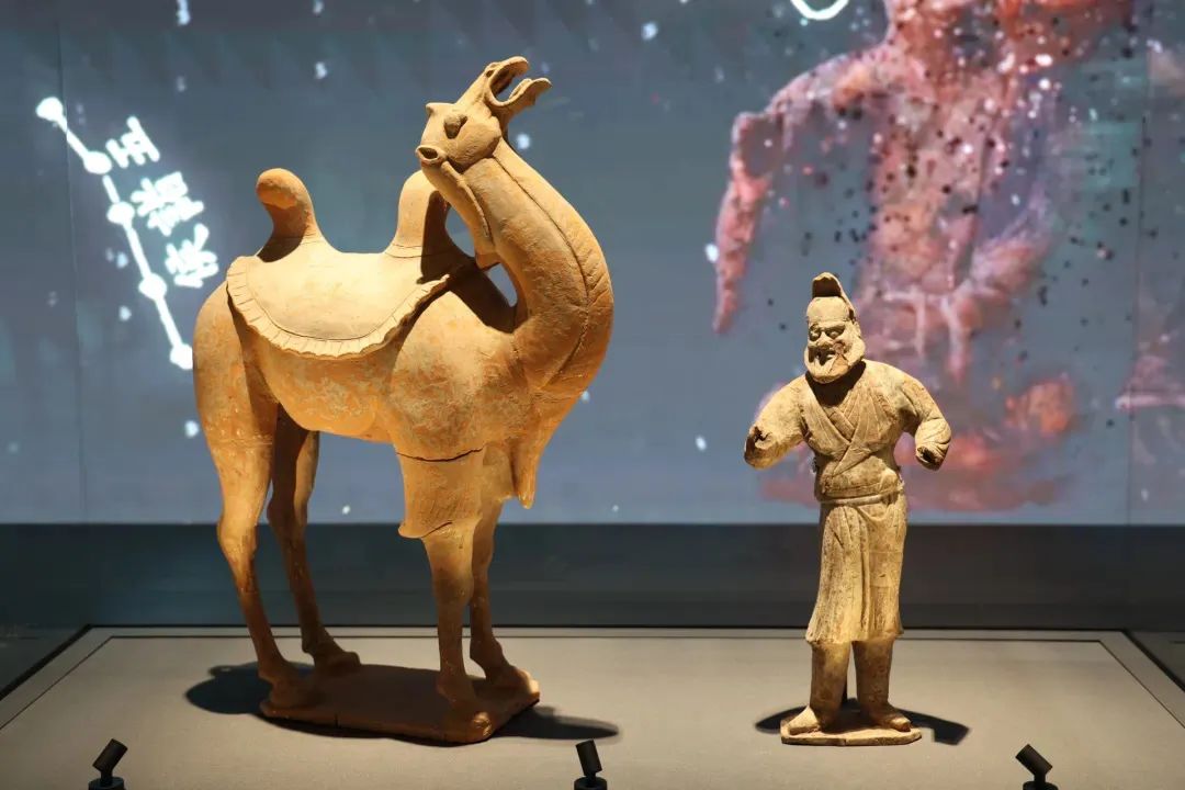 1745220357833334.jpg 1.jpg