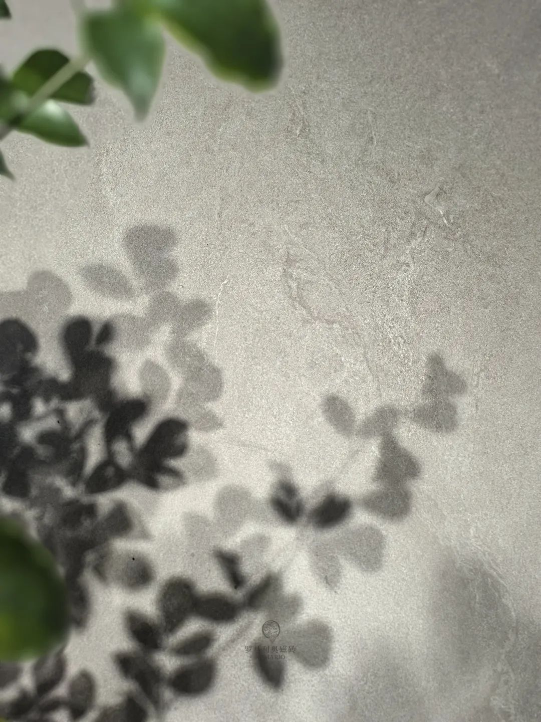 1752220220252193.jpg 15.jpg